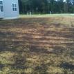 before newly seeded lawn